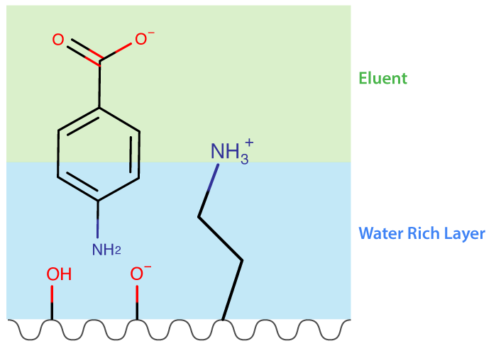 Schematic Representation of the HILIC Retention of 4-amino benzoic acid on an amino stationary phase